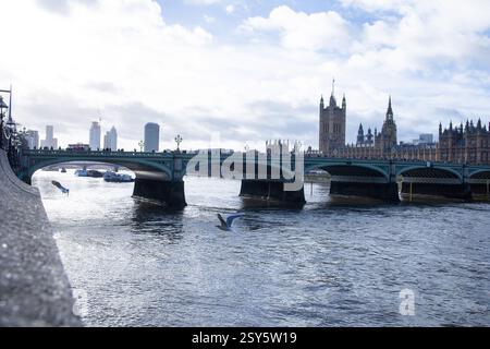 Londra, Regno Unito 15 gennaio 2023. Le case del Parlamento e il ponte di Westminster Foto Stock