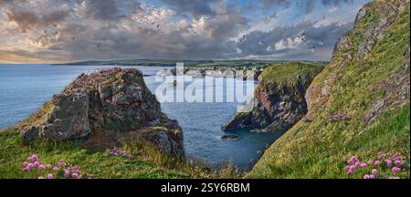 Foto di St Abbs Village & Harbour, St Abbs Head, Berekshire Scotland, Regno Unito. St Abbs era originariamente chiamata Coldingham Shore. Prima di qualsiasi edificio il Foto Stock