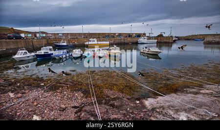 Foto a colori del porto del piccolo villaggio di pescatori di St Abbs, Scottish Borders, Scozia Foto Stock