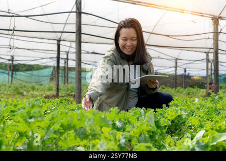 donna che lavora con tablet digitale in azienda idroponica Foto Stock