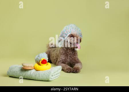 Simpatico cane con cuffia da doccia e altri accessori da bagno su sfondo color oliva chiaro, spazio per testo Foto Stock