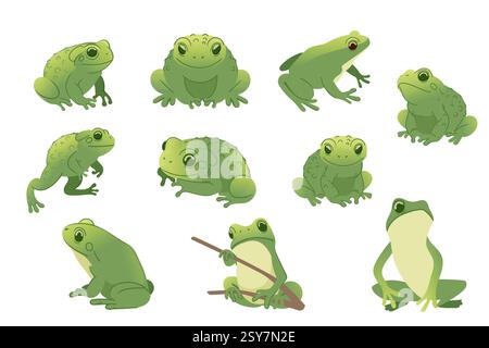 Raccolta di rane verdi in varie pose. Disegno di animali cartoni animati, carino anfibio. Ideale per illustrazioni naturalistiche, disegni naturalistici o didattici Illustrazione Vettoriale