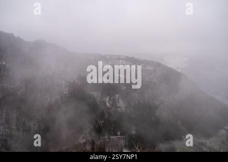 Mattina invernale di Foggy nella valle di Todtnauer - paesaggio sereno e nebbioso della Foresta Nera, Germania meridionale Foto Stock