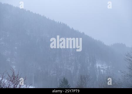 Mattina invernale di Foggy nella valle di Todtnauer - paesaggio sereno e nebbioso della Foresta Nera, Germania meridionale Foto Stock