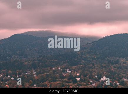 Percorso panoramico della Foresta Nera dai vivaci colori autunnali Foto Stock