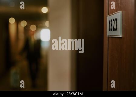 Di medie dimensioni, vicino al cartello con il numero di camera sulla porta di legno dell'hotel Foto Stock