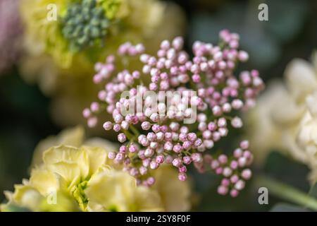 Un allestimento straordinario con un bellissimo bouquet da vicino Foto Stock