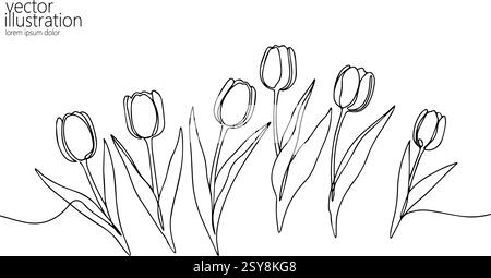 Disegno della linea dei tulipani. Fiori primaverili foglie steli. Biglietti d'auguri per inviti nuziali. Design grafico minimalista, vettore di sfondo bianco Illustrazione Vettoriale