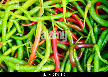 Peperoncini verdi e rossi freschi in varie tonalità, che creano un vivace mix di colori e texture. Vista ravvicinata dei peperoncini piccanti in un mercato Foto Stock