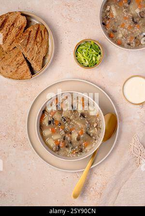 Fotografia gastronomica di zuppa di funghi con orzo e verdure, carote; patate, cipolla primaverile, panna, pane tostato, cibo vegetariano sano Foto Stock
