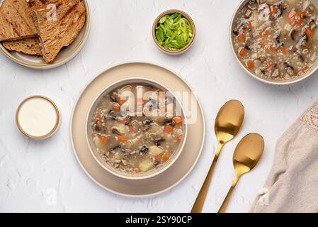 Fotografia gastronomica di zuppa di funghi con orzo e verdure, carote; patate, cipolla primaverile, panna, pane tostato, cibo vegetariano sano Foto Stock