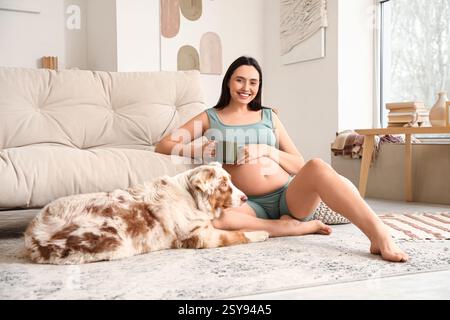 Giovane donna incinta, felice e sportiva, con una tazza di tè e un simpatico cane da pastore australiano seduto sul pavimento di casa Foto Stock
