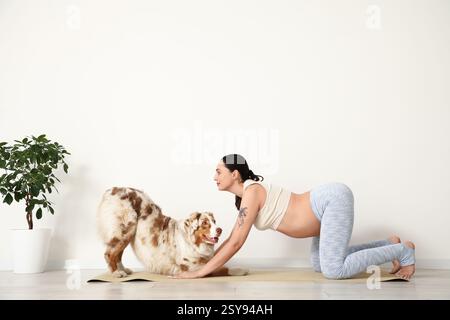 Giovane felice donna incinta sportiva con carino cane pastore australiano che pratica yoga a casa Foto Stock