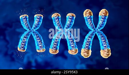 Telomeri di invecchiamento inverso come rigenerazione di telomere come i tappi protettivi dei cromosomi e telomerasi aumentando la lunghezza e la salute Foto Stock