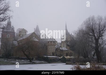 Il castello di Vajdahunyad si erge accanto a un lago ghiacciato in una giornata invernale con neve e nebbia a Budapest, Ungheria Foto Stock