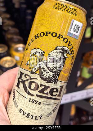 Bobruisk, Bielorussia - 16 febbraio 2025: Una mano regge una lattina di birra Kozel, con il suo design dorato e l'iconico logo di capra. Foto Stock