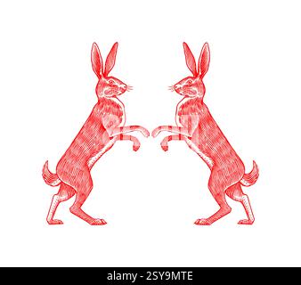 Lepre o coniglio in piedi. pronti a combattere il simbolo dell'ecologia. Animale selvatico in vecchio stile della tradizione a inchiostro disegnato o inciso a mano per la bobina o l'etichetta. Illustrazione Vettoriale