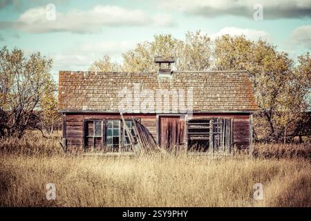 Piccola casa vecchia con tetto inclinato. Il tetto è fatto di tegole di legno. La casa è circondata da un campo di erba alta Foto Stock
