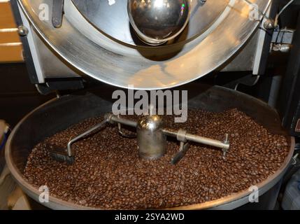 Torrefazione di chicchi di caffè freschi presso la caffetteria del museo di Belgrado, Serbia. Foto Stock