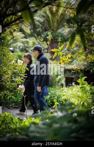 Una coppia più anziana gode di una tranquilla passeggiata attraverso un lussureggiante giardino botanico circondato da vegetazione tropicale e fiori primaverili, il Golden Gate Park, SF, CA Foto Stock