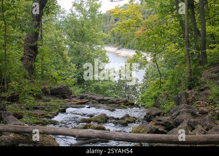 L'Hilton Falls Conservation area ruscello scorre su terreni rocciosi con un fiume più ampio visibile sullo sfondo attraverso lussureggiante vegetazione verde della foresta Foto Stock