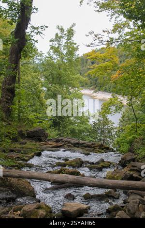L'Hilton Falls Conservation area ruscello scorre su terreni rocciosi con un fiume più ampio visibile sullo sfondo attraverso lussureggiante vegetazione verde della foresta Foto Stock