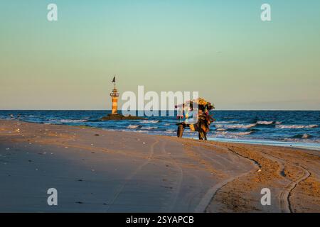 Il carretto dei buoi è tornato al villaggio dopo una giornata trascorsa a fare una passeggiata sulla spiaggia Foto Stock