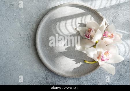Splendide orchidee bianche disposte su un piatto rotondo in ceramica grigia creano un display elegante e minimalista. La luce naturale soffusa proietta ombre delicate, enha Foto Stock