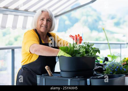 Una donna anziana con camicia gialla e grembiule tende a fiori vivaci in un vaso, tra cui una margherita rossa di gerbera, su un balcone soleggiato, incarnando gioia e p Foto Stock