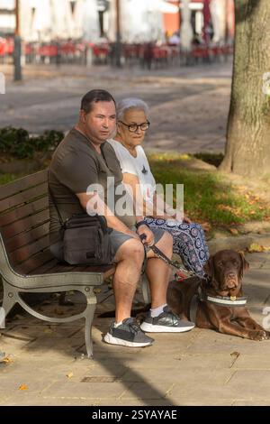 Un cieco e una donna anziana si siedono su una panchina del parco, godendosi la vita all'aperto con un cane guida al loro fianco. La scena cattura un momento sereno in una le Foto Stock