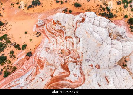 La vista aerea cattura formazioni di arenaria bianca in contrasto con il paesaggio del deserto arancione, mostrando texture e bellezza naturale in White Pocket. Foto Stock