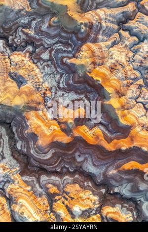 Vista aerea delle vibranti formazioni di bentonite nello Utah, con motivi vorticosi e ricche tonalità dorate. Queste strutture naturali creano un ipnotico Foto Stock