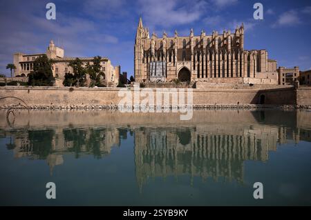 Palau Reial, Palazzo reale la Almudaina e la Seu, Basilica di Santa Maria, Cattedrale di Santa Maria, riflessione, Palma di Maiorca, Maiorca, Isole Baleari Foto Stock