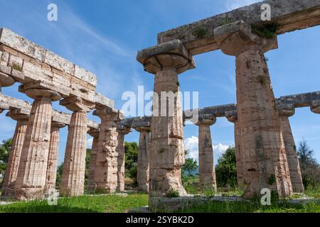 La "cella" o santuario interno del primo Tempio di Hera, conosciuta anche come la Basilica, un antico tempio greco costruito intorno al 550 a.C. a Paestum, in Italia Foto Stock