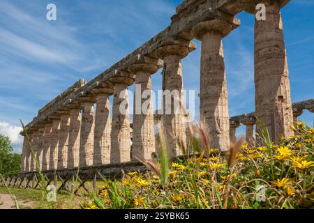 Il primo Tempio di era, noto anche come Tempio di era i e la Basilica, un antico tempio greco costruito intorno al 550 a.C. a Paestum, in Campania Foto Stock