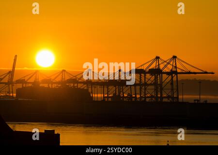 Le Havre, Francia, Europa - 16 gennaio 2025: Silhouette di gru container nel porto di le Havre all'alba. Foto Stock