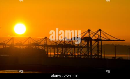 Le Havre, Francia, Europa - 16 gennaio 2025: Silhouette di gru container nel porto di le Havre all'alba. Foto Stock