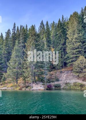 Una vista panoramica di una riva boscosa con alti pini verdi. L'acqua limpida riflette il paesaggio circostante. Un percorso sterrato e una ringhiera in legno Foto Stock
