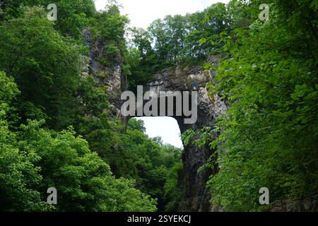 Vista panoramica dal basso sull'arco roccioso del Natural Bridge State Park, Virginia, Stati Uniti d'America. Foto Stock