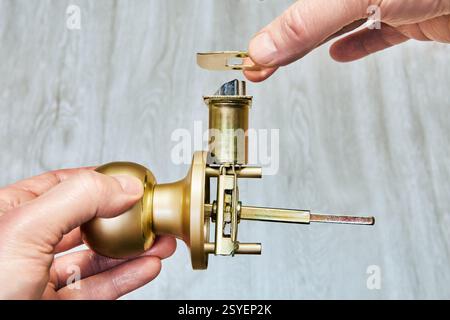 Close up view of brass door knob mechanism where spindle connects to latch assembly. Foto Stock