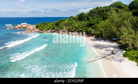 Le limpide acque turchesi incontrano dolcemente la spiaggia sabbiosa, creando una scena serena. La Digue, Seychelles. Foto Stock
