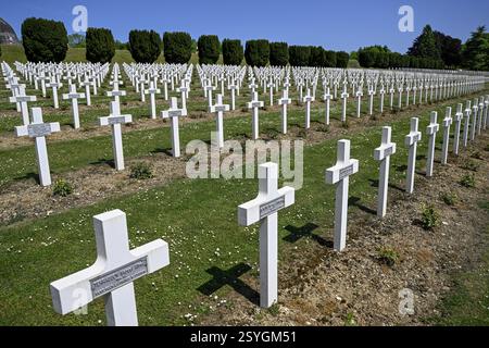 Croci presso il cimitero militare nei pressi dell'ossario di Douaumont, prima guerra mondiale, Verdun, regione Grand Est, Francia, Europa Foto Stock