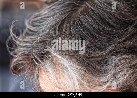 Una donna con i capelli grigi. Il concetto diventa grigio. Primo piano. Foto Stock