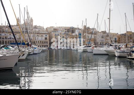 Porticciolo con yacht a Birgu con vista sulla città vecchia di Senglea, Malta Foto Stock
