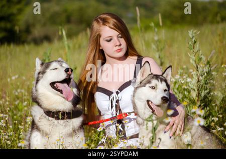 Giovane donna con lunghi capelli rossi siede con due husky nel prato illuminato dal sole. I cani felici si divertono in compagnia tra fiori selvatici. Atmosfera calda e luminosa conv Foto Stock