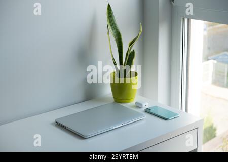 Laptop argento, auricolari bianchi, smartphone verde e pianta verde su una scrivania bianca Foto Stock