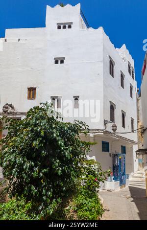 edificio dipinto di bianco con caratteristiche architettoniche distintive, parzialmente oscurato da un lussureggiante fogliame verde, sullo sfondo di un cielo azzurro limpido, creato Foto Stock