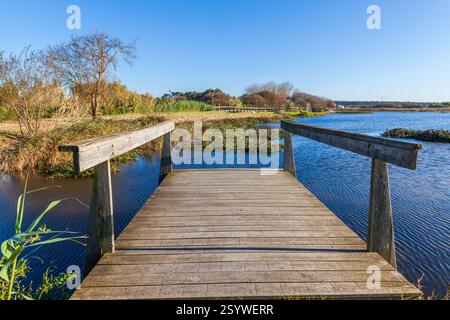 Un molo di legno si estende in un lago calmo sotto un cielo azzurro e limpido, circondato da vegetazione naturale. Foto Stock