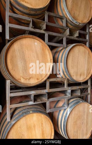 Botti di vino nuovo o cognac nella cantina della cantina, botti di legno in prospettiva. vault delle viti. botti di rovere vintage di birra artigianale o brandy. Foto Stock