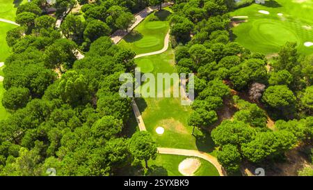Vista aerea di un campo da golf con putting green, bunker di sabbia e sentieri tortuosi tra gli alberi Foto Stock